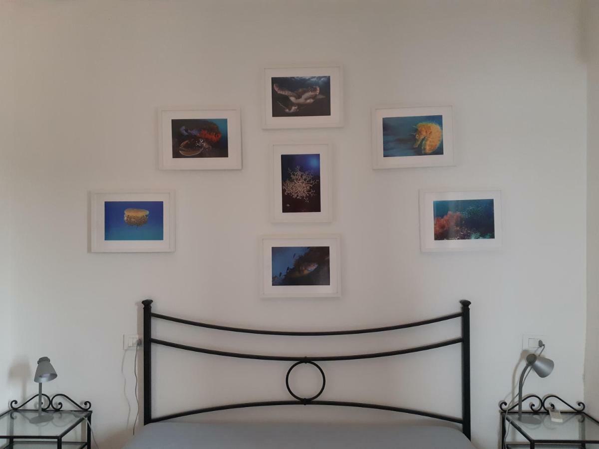 Campese Apartments 外观 照片